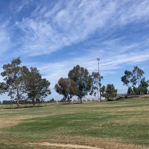 Meet your Posher, Vivian